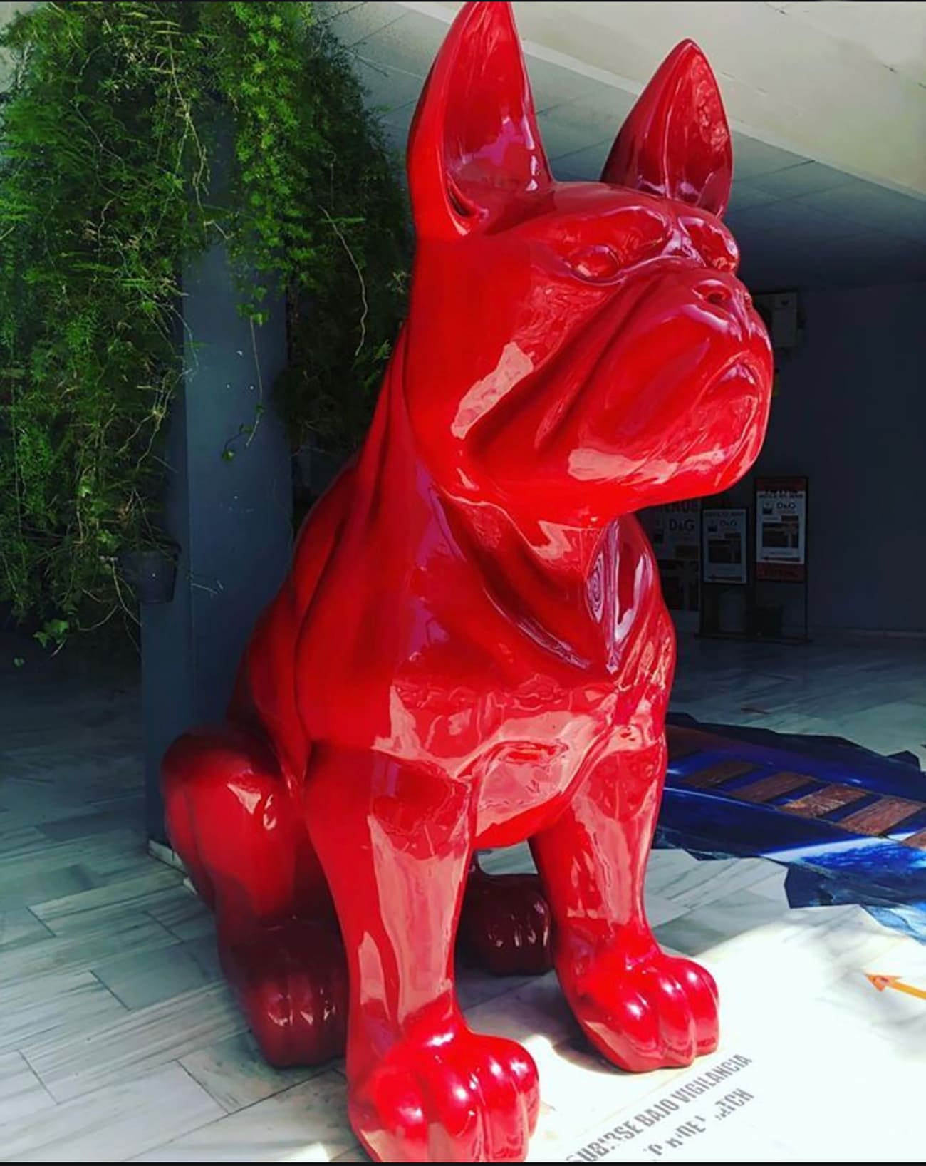 Red Dog - Puerto Banus