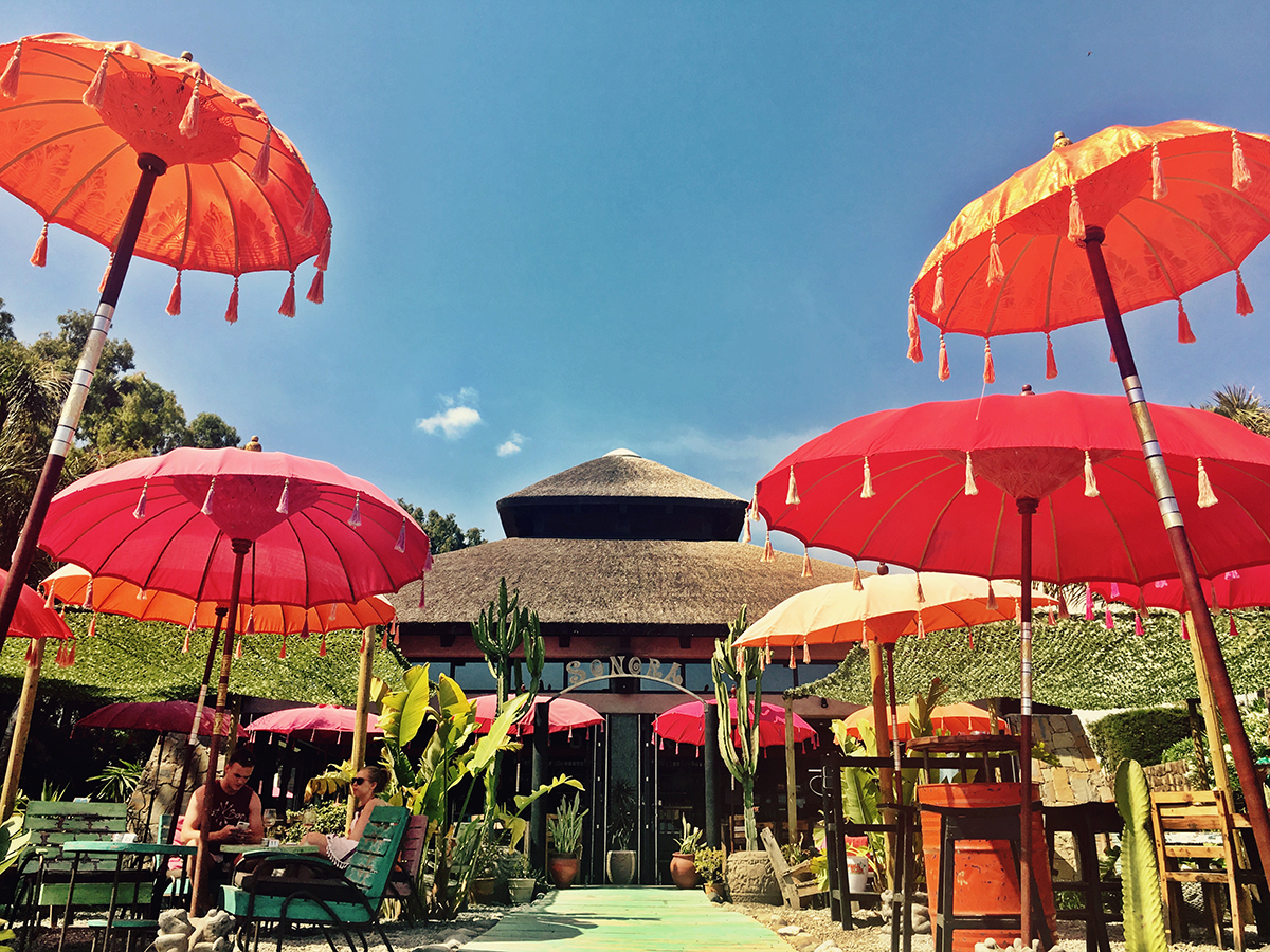 The bright decor adds to the happy atmosphere at Sonora Beach