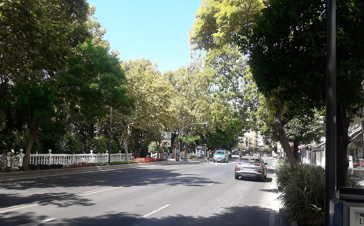 Avenida Ramon y Cajal, named after Santiago Ramon y Cajal