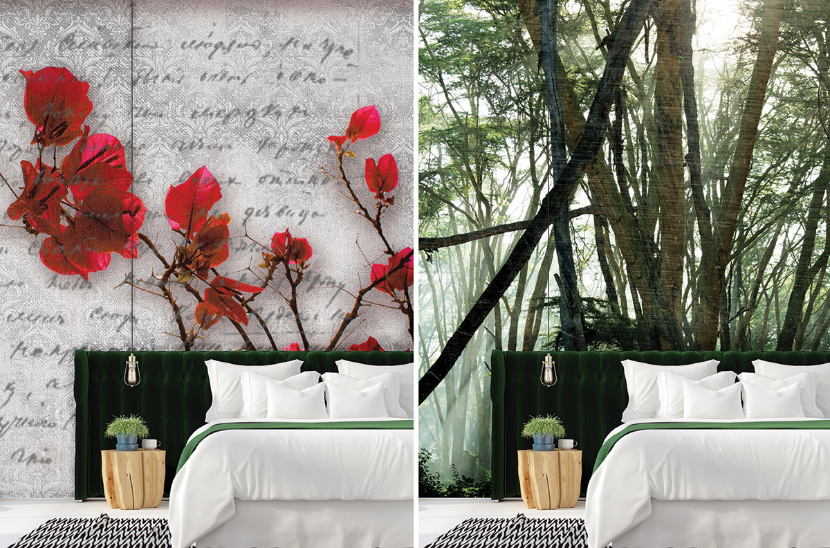 Poetry and bougainvillea