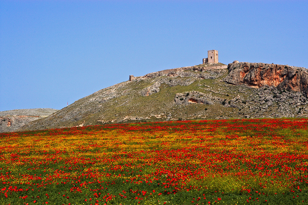 The Castillo de Estrella on the hilltop above Teba