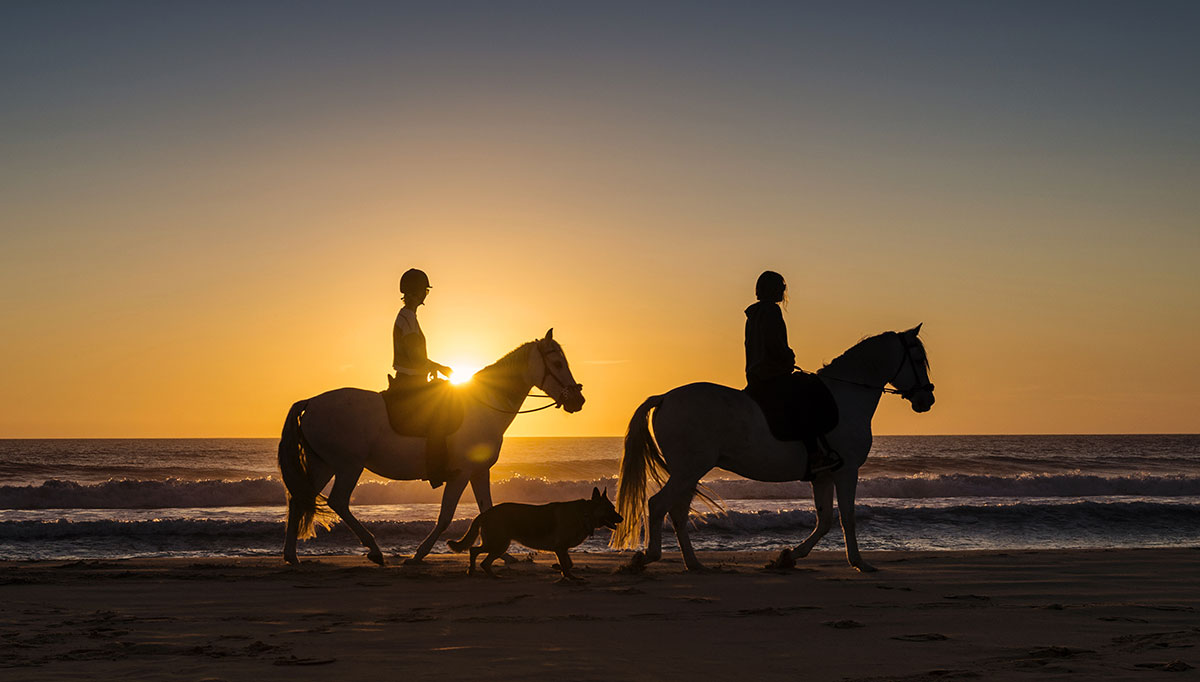 Riding horses at sunset on the beach