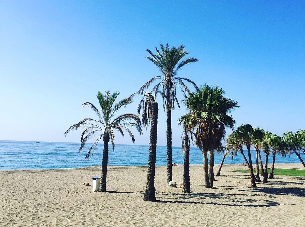 Marbella’s beautiful climate and environment is an attractive force for many people