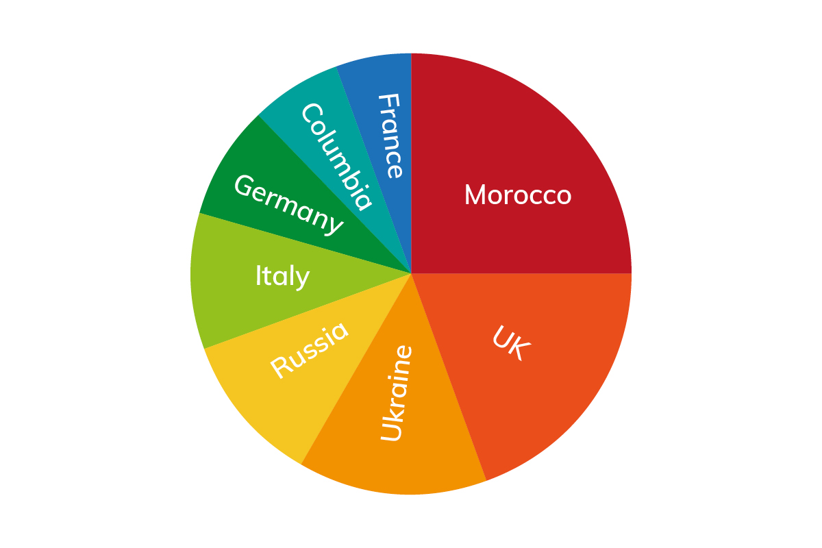 Pie chart of Marbella residents