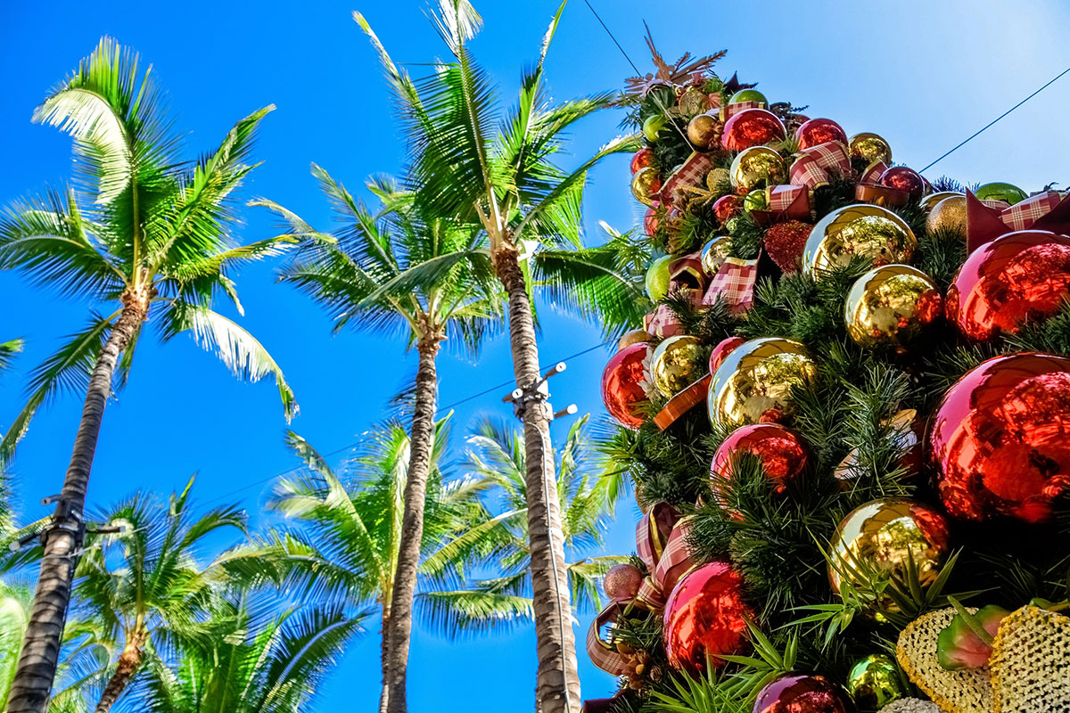Decorated Chrismas tree next to palm trees with blue sky.